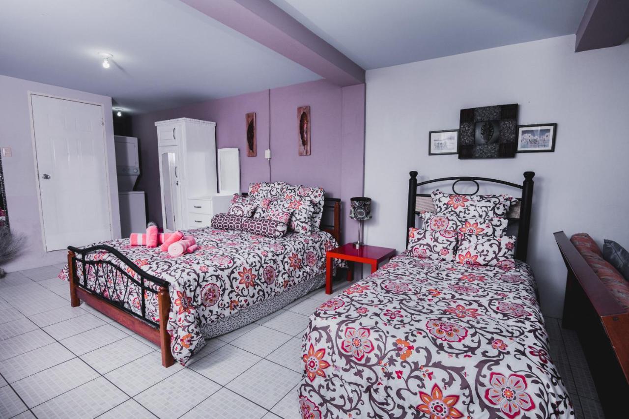 The Valley Oasis Inn Saint Joseph Luaran gambar